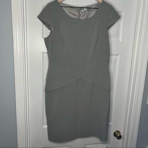 Calvin Klein Professional Dress